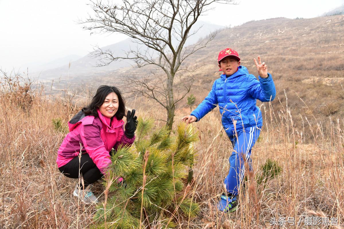 为什么让小学生上山植树造林，看完老师写的图文就明白