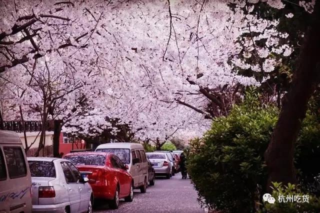 一天吃8顿算啥！回我老家青岛，带你吃上24小时！