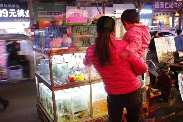 每一个与鱼化寨国际有染的人，都曾对这个小香港有难以言表的热忱