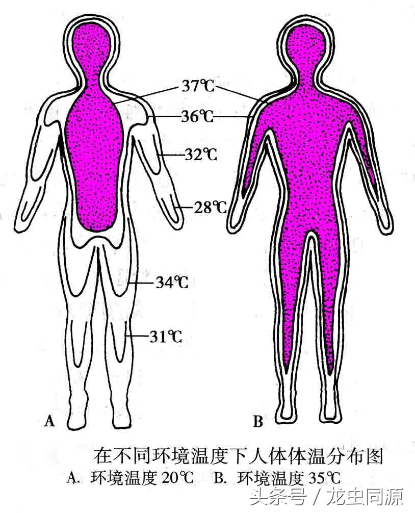 怎么用手的温度判断宝宝发烧程度,宝宝发烧该如何正确进行降温