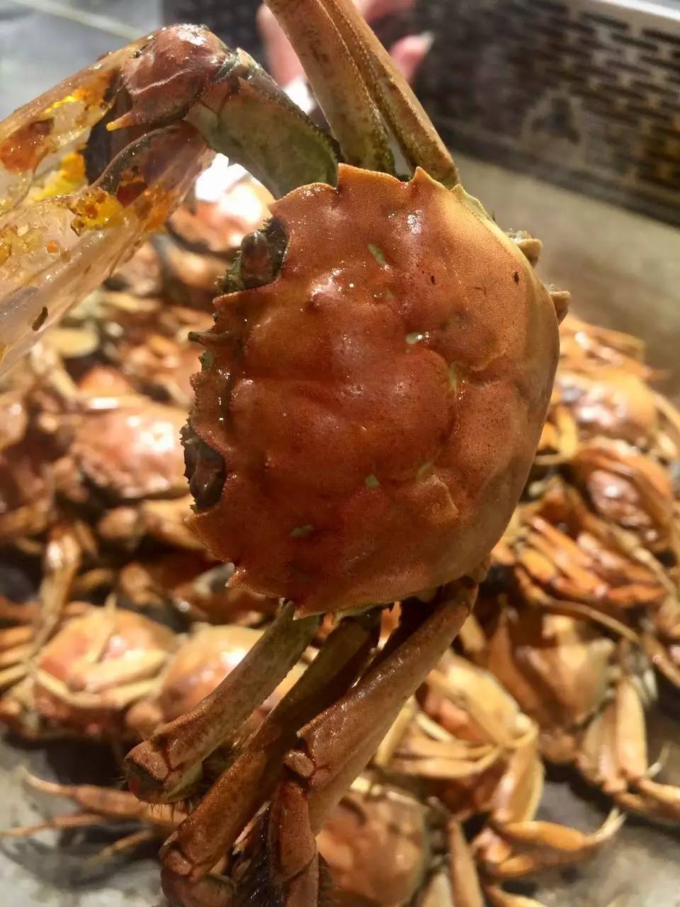 海鲜、披萨无限量供应，长春最物超所值的自助餐厅就是它！