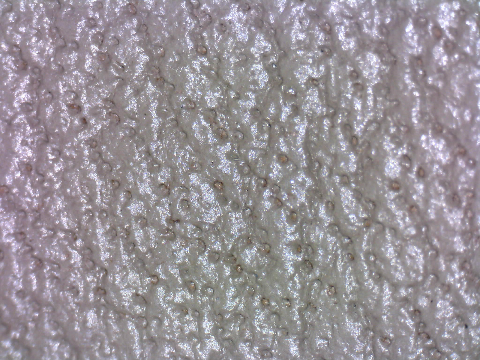 智能手表长得跟普通手表一样,智能手表都一个样