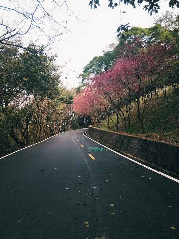 梅州有什么特别的地方,梅州哪个县比较好
