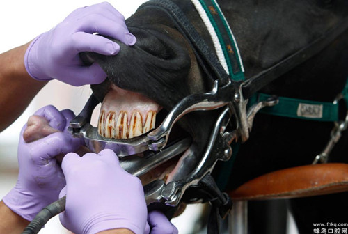 每天一个动作保健,每天一个动作健康一辈子