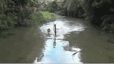 密集恐惧症不谨慎看到了怎么办,密集恐惧症的最可怕瞬间