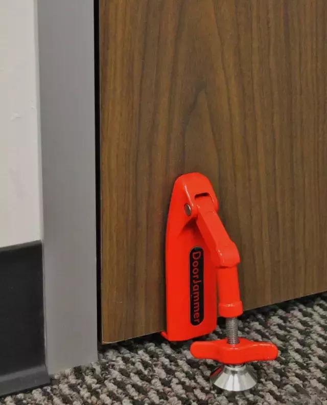 女王陛下，老臣给您备了一些防身好物