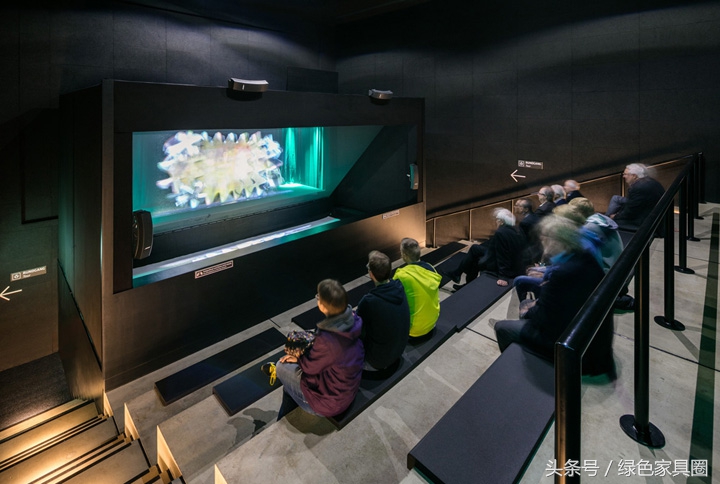 国内外首家专业的足球博物馆,世界上第一家专业的足球博物馆