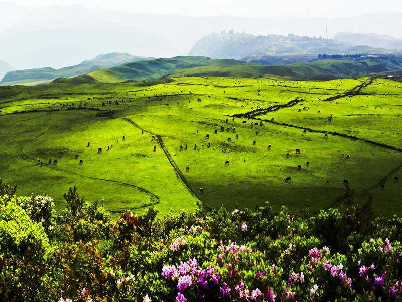 鑹绌轰腑瑙傛櫙,鑹澶╃┖涔嬪瀹㈡爤