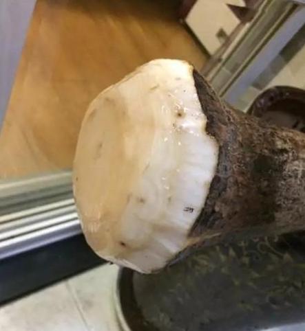 枯萎的花不能要了就该扔到垃圾桶,这五种花千万不要买