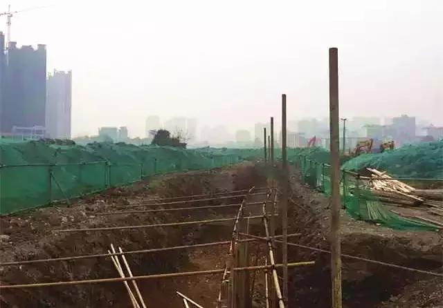 成都新建成的几大公园,成都新增2个公园