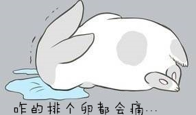 女性排卵期腹痛腰痛,排卵期小腹疼痛是卵巢出问题吗