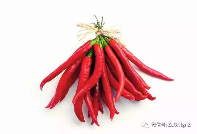 在餐桌上烹饪的菜,在餐桌上的菜