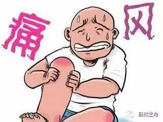 痛风叫富贵病是什么意思,痛风为什么说是富贵病