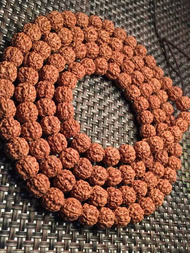 金刚圈子里混三年，这些品种都够呛能认全！