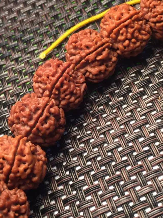 金刚圈子里混三年，这些品种都够呛能认全！