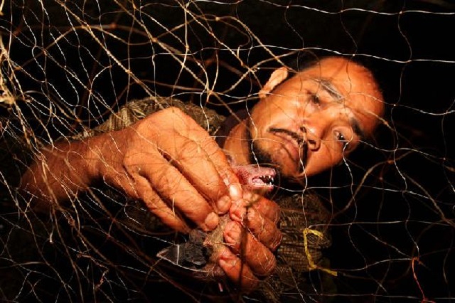 印尼居民就好这口，另类食物据说养生延年，还因此开辟新职业