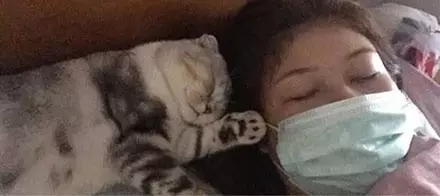 猫咪磕掉一点牙,猫咪磕掉半颗牙
