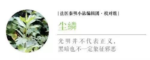 关于招财猫，你应该知道这些事