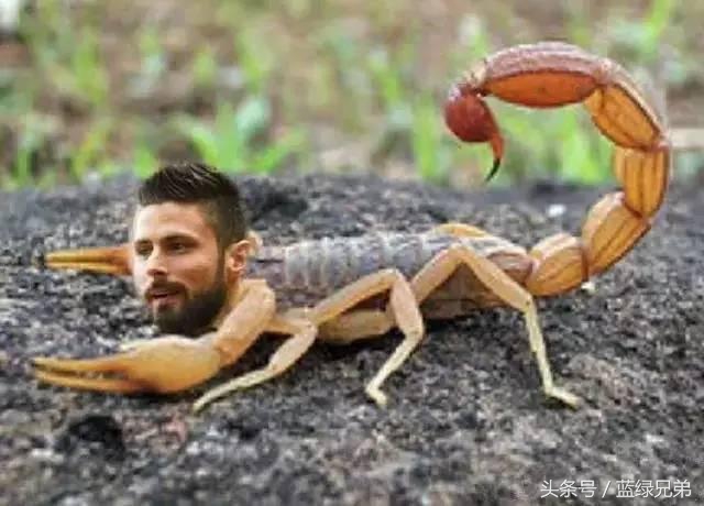 欣赏一下足坛经典的30大凌空破门,盘点世界离谱进球