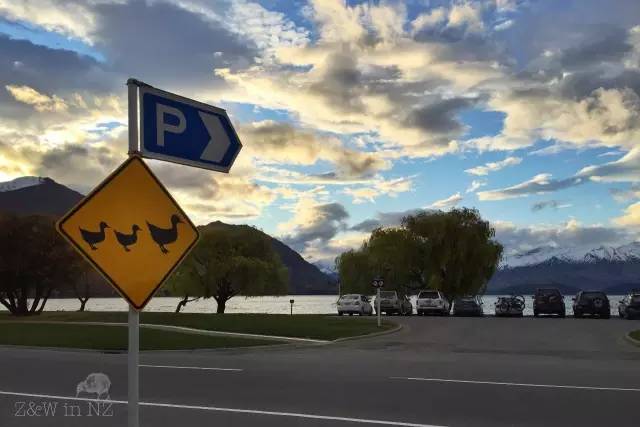 去新西兰绝对不要错过皇后镇,新西兰皇后镇自由行关注事项