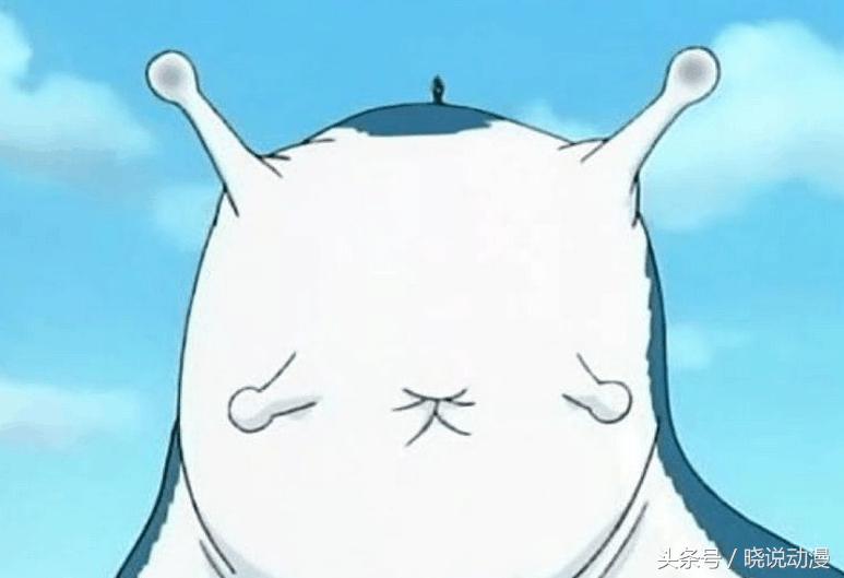 火影忍者通灵兽蛞蝓进阶,火影忍者纲手通灵兽蛞蝓