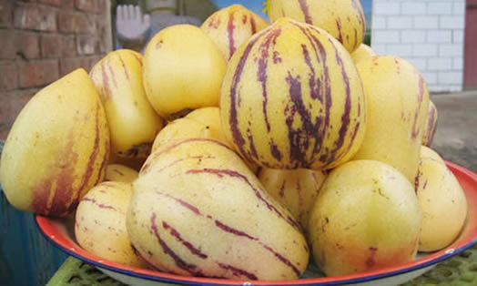 人参果哪类人不宜吃,哪类人不宜吃人参果