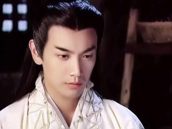 张智尧出道,张智尧影视变化