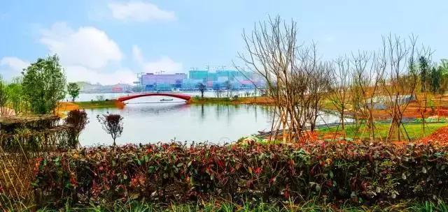 成都新建成的几大公园,成都新增2个公园