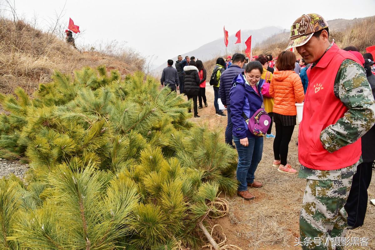 为什么让小学生上山植树造林，看完老师写的图文就明白
