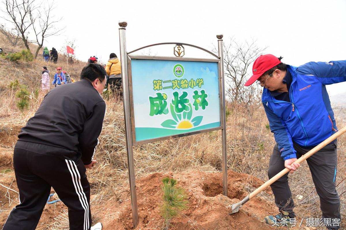 为什么让小学生上山植树造林，看完老师写的图文就明白