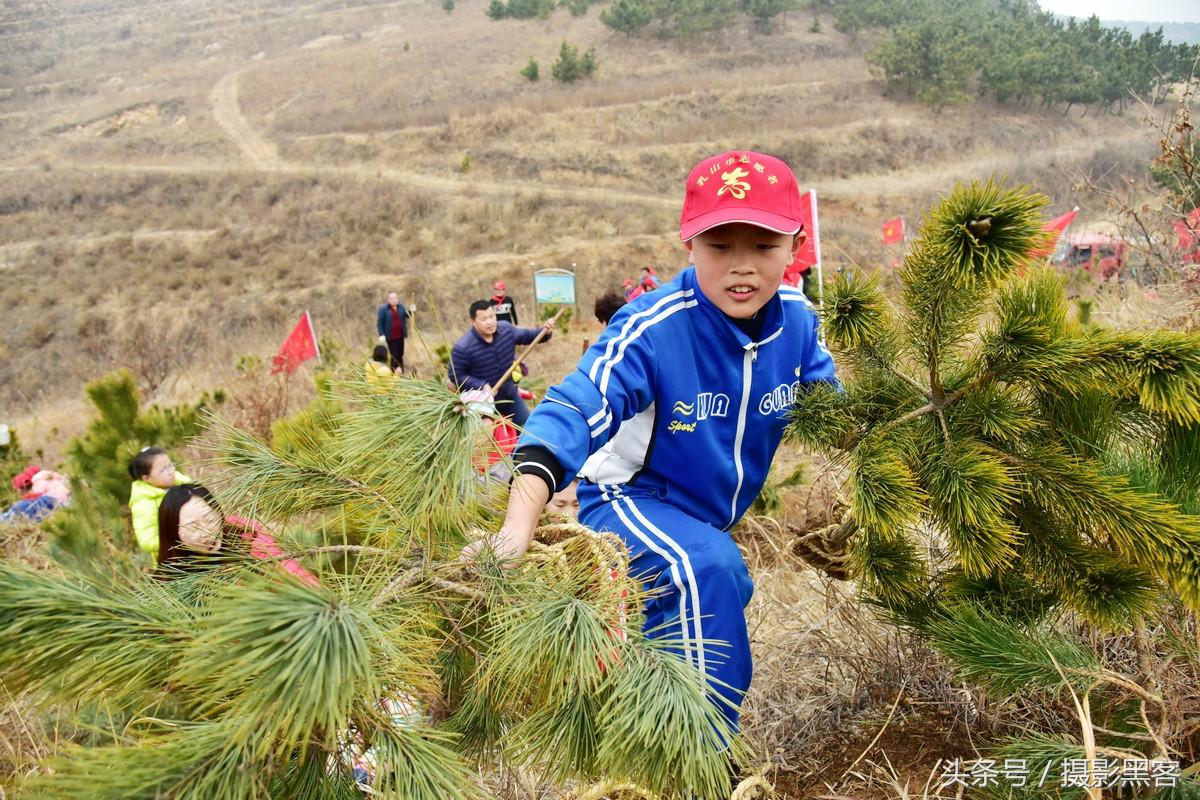 为什么让小学生上山植树造林，看完老师写的图文就明白