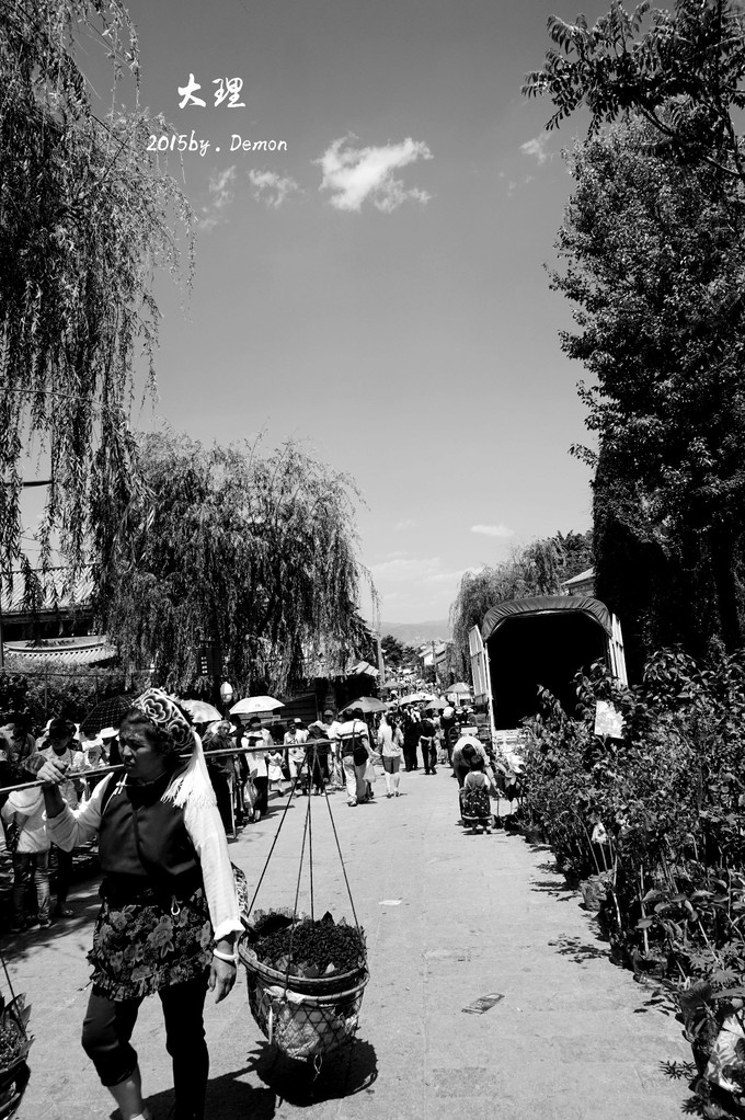 彩云以南，我们终于出发の我带着你，你带着钱！