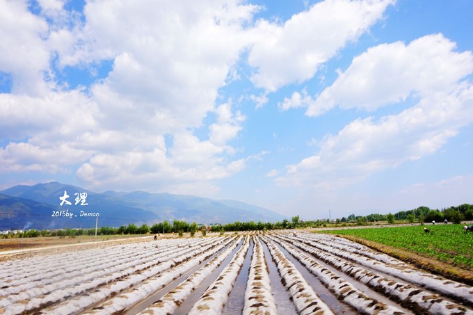 彩云以南，我们终于出发の我带着你，你带着钱！