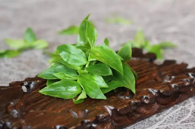 野菜鲜香嫩绿,野菜春天来