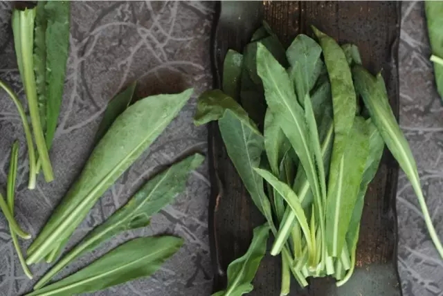 野菜鲜香嫩绿,野菜春天来