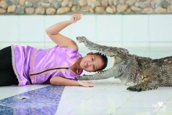 春节出境游泰国,中国驻泰国大使馆关注事项