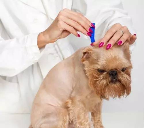 抚养婴儿方法和技巧,抚养婴儿要关注什么