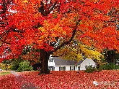 海关教你如何选购进口婴幼儿奶粉,国家是怎样检测进口奶粉