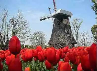 海关教你如何选购进口婴幼儿奶粉,国家是怎样检测进口奶粉