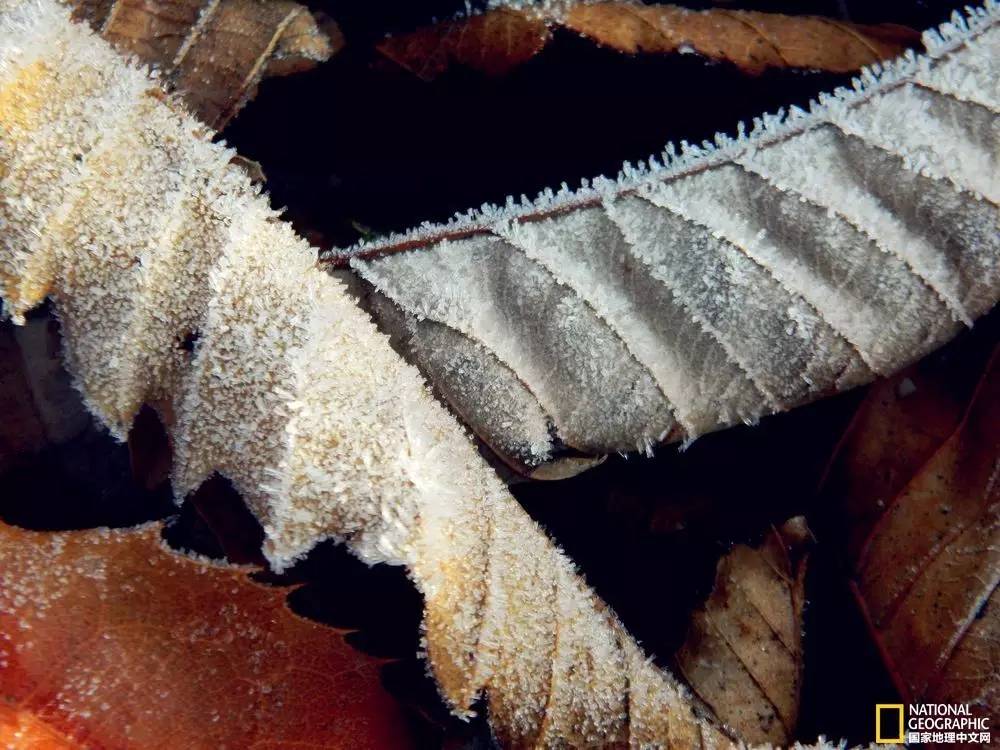 国家地理摄影图片冬天,中国国家地理景观冬季