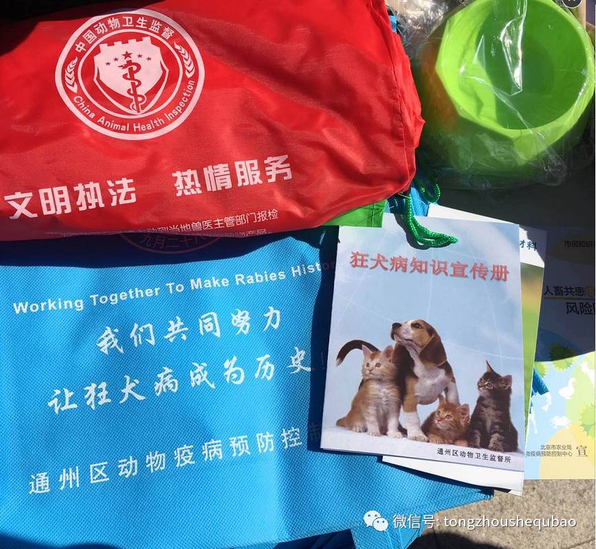 打算养狗需要准备什么,南京正规给狗打疫苗的地方