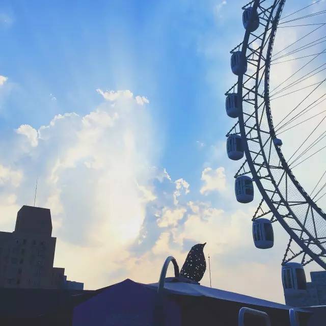 单身狗慎入！在上海，小伙谈恋爱要带女朋友去做……