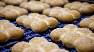 刷完BBC“探班”面包工厂，我好像懂得了红炉磨坊倒下的真正原因