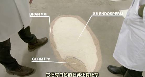 刷完BBC“探班”面包工厂，我好像懂得了红炉磨坊倒下的真正原因