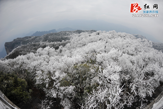 来了新闻早班车语音,来了新闻早班车今天文字版