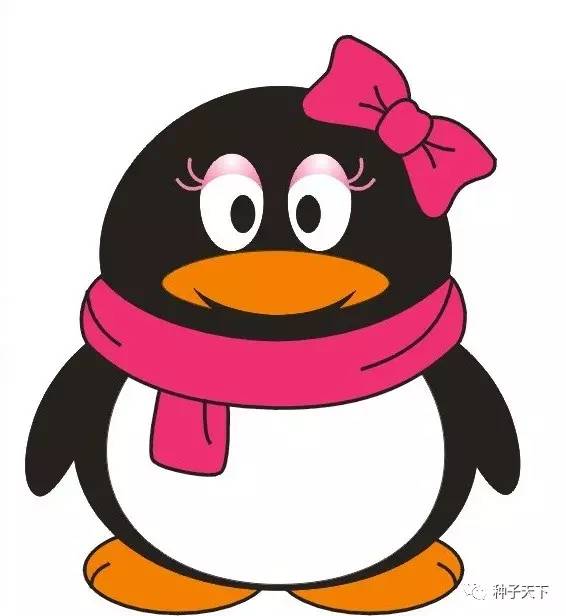 2022年山西玉米种引种备案通知,山西省的农作物品种审定委员会