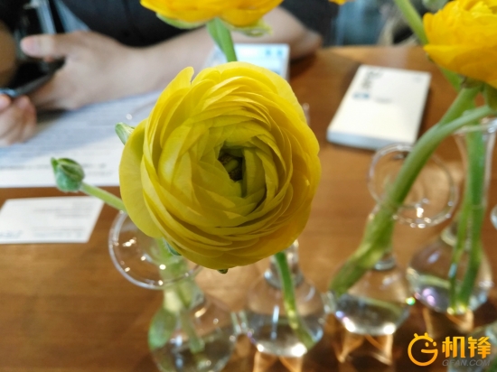 中兴bladev10和8x,中兴bladev2022评测