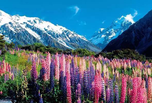 海关教你如何选购进口婴幼儿奶粉,国家是怎样检测进口奶粉