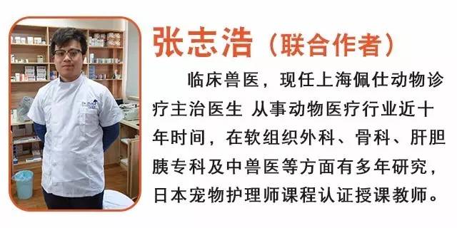 万能的洁尔阴，妇炎洁，宠物也洗洗更健康吗？