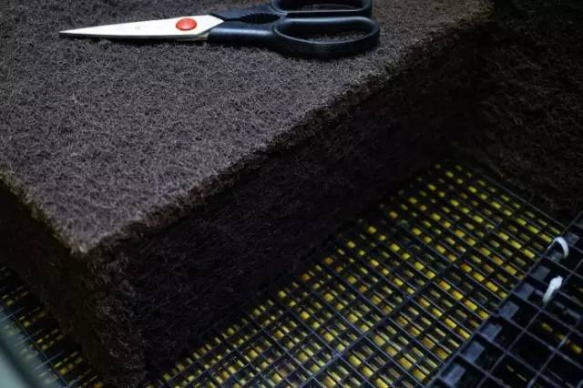 水族箱草缸开缸教程新手入门,雨林缸开缸多久植物才会稳定